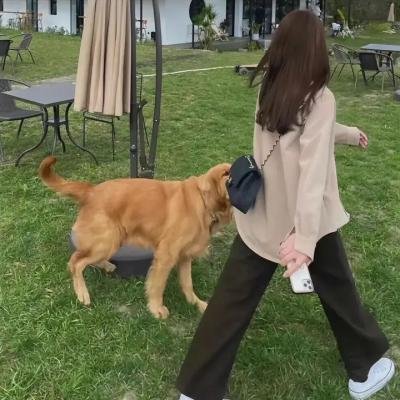 伍六七之暗影宿命